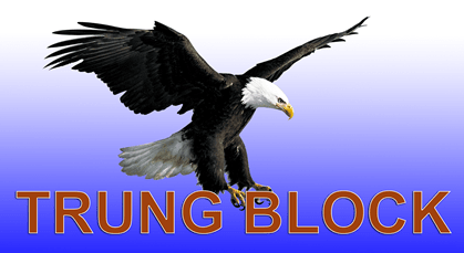 Trung Block chuyên sỉ linh kiện máy lạnh, quạt, máy giặt